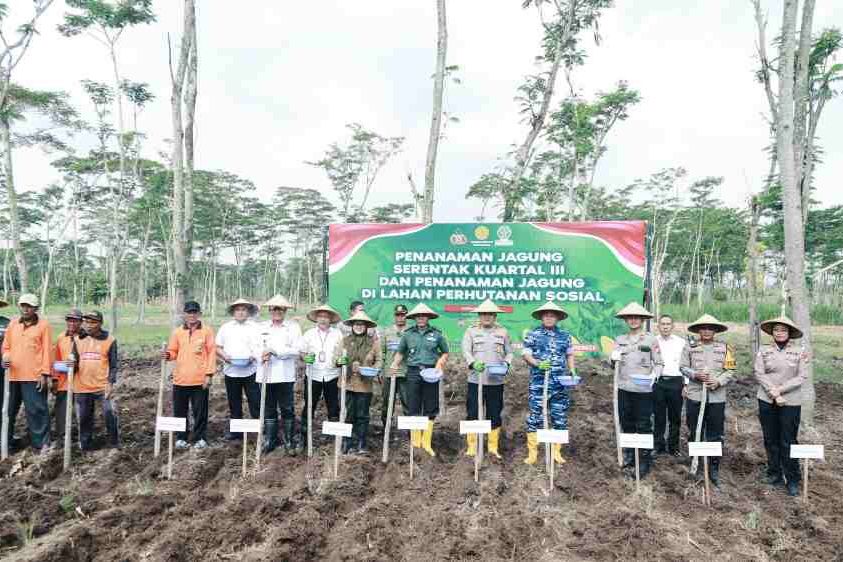 Dukung Swasembada Pangan, Polres Jombang Turut Tanam Jagung Serentak