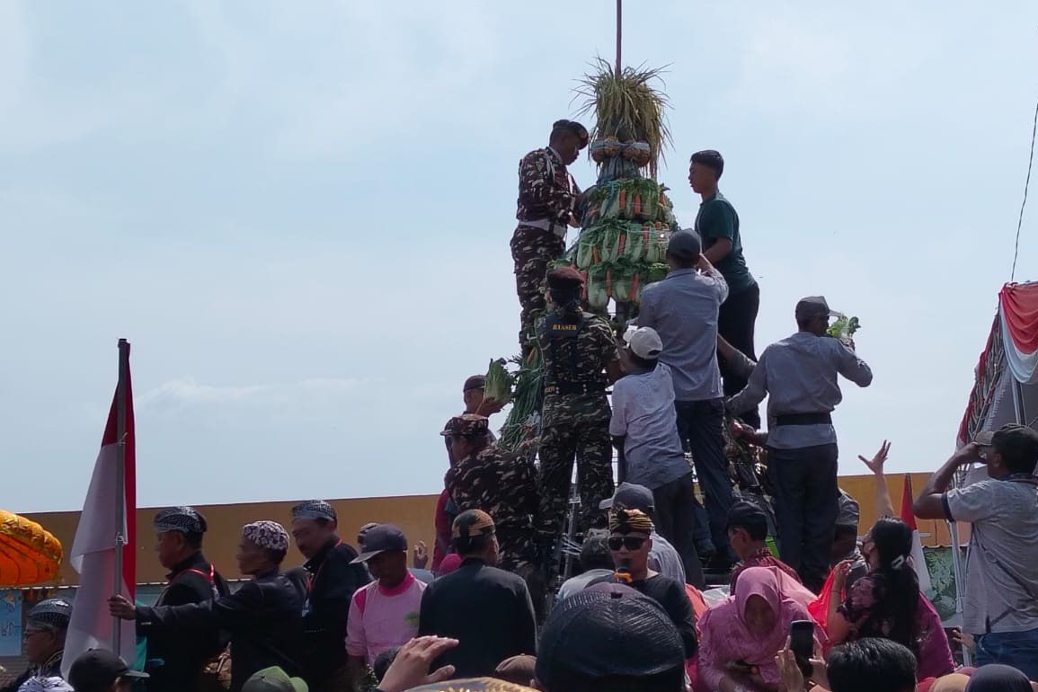 Aksi Copet Mengusik Tradisi Rebutan Gunungan Sayur di Karandagangan Jombang