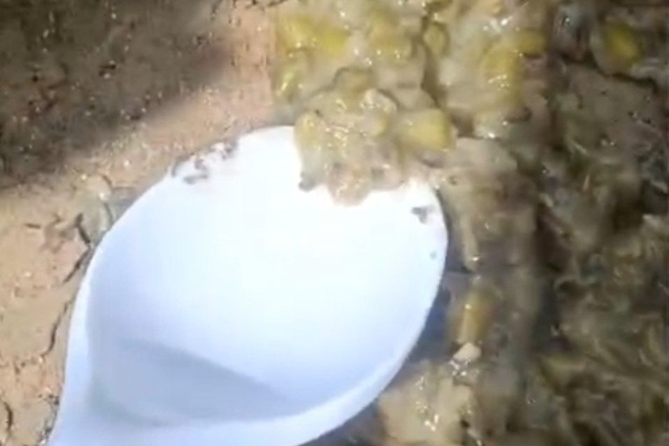 Viral Dugaan Menu MBG Berbelatung di Sampang, SPPG Buka Suara