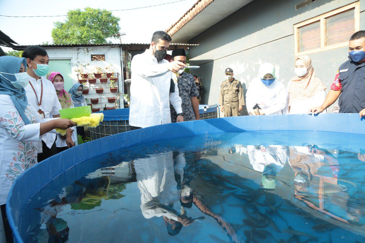 Kelompok Tani di Probolinggo Kembangkan Sekolah Lapang Budidaya Lele