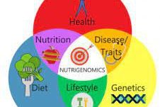 Nutrigenomic Nutrition, Cara Sehat dengan Berat Badan Ideal