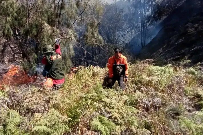 BPBD Kabupaten Probolinggo bersama TN BTS dan Masyarakat Padamkan Kebakaran Gunung Batok