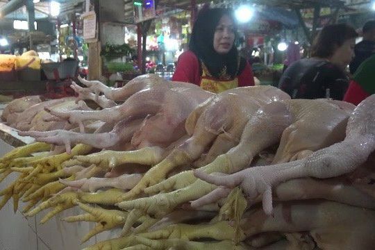 Jelang Puasa, Harga Daging Ayam Potong di Pasar Jember Naik