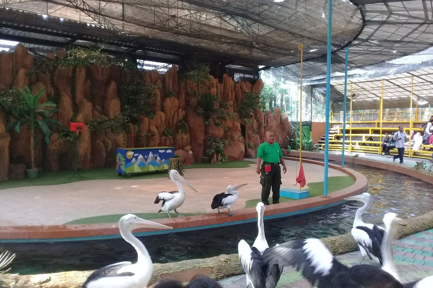 KBS Adopsi Model Kebun Binatang Singapura