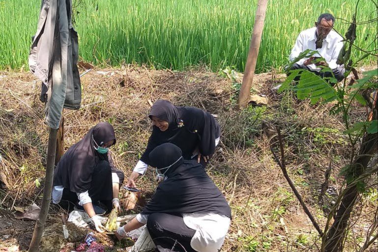 Domba-Domba di Probolinggo Mati Mendadak, Ini Dugaan Penyebabnya
