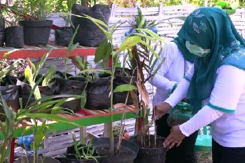 Dampak Corona, Warga Probolinggo Galakkan Tanam Empon-empon