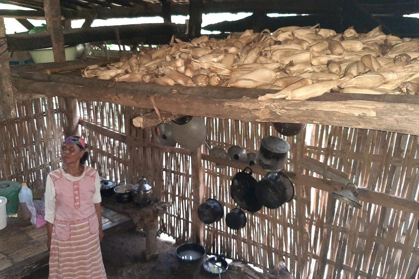 Lumbung Jagung Warga Banyuwangi Jadi Stok Tambahan Pangan Selama Pandemi  