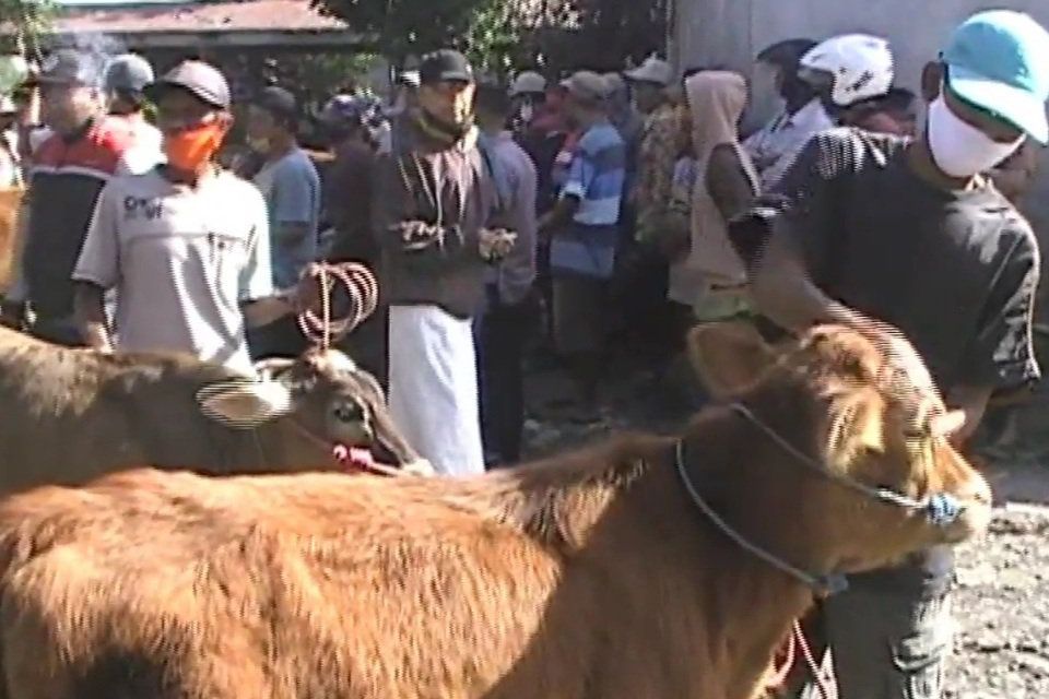 Pedagang Hewan di Probolinggo Nekat Buka Paksa Pasar Hewan Besuk
