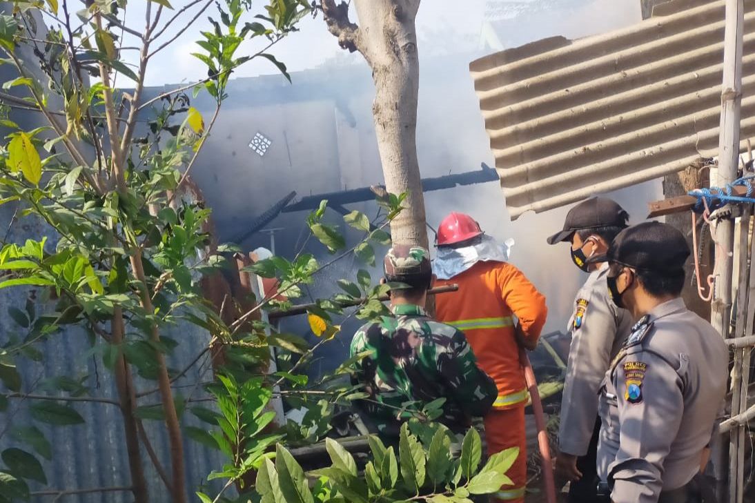 Bakar Bulu Ayam, Rumah dan Kandang Ludes Terbakar
