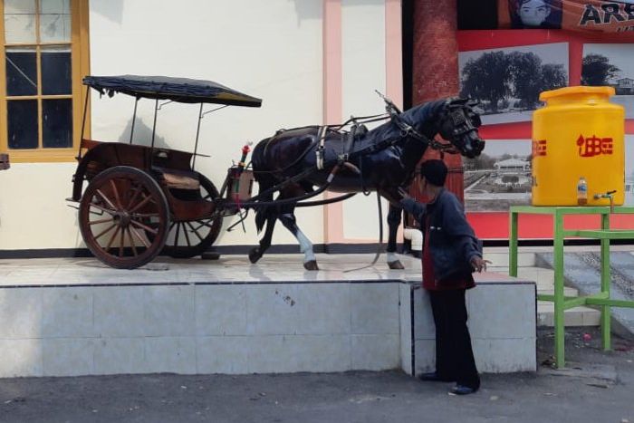 Museum Probolinggo Pamerkan Artefak Sejarah Islam dan Nabi Muhammad di Hari Santri Nasional