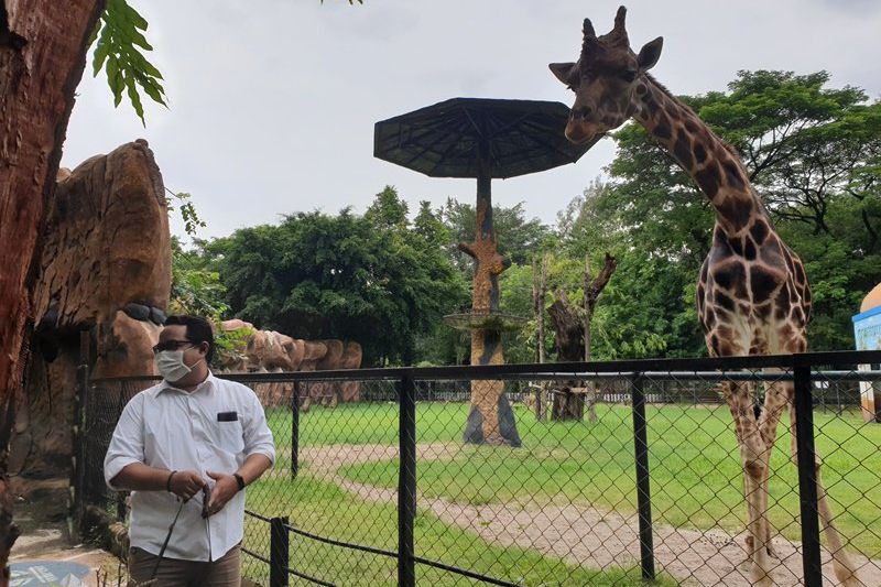 Jumlah Pengunjung Kebun Binatang Surabaya Tidak Terpengaruh PPKM