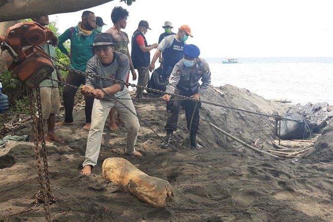 KKP Teliti Penyebab Beberapa Kali Paus dan Penyu Terdampar di Jatim dan Bali