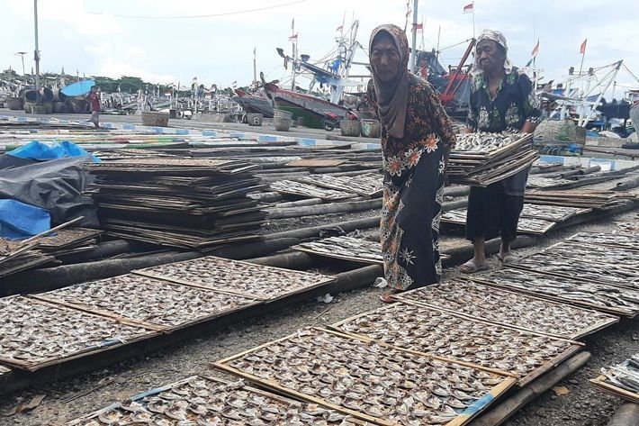 Produsen Ikan Asin Muncar Banyuwangi Keluhkan Rendahnya Harga Jual Ikan