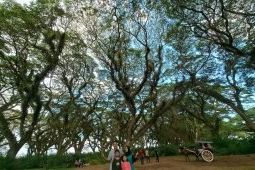 Libur Lebaran? Ini Referensi Wisata di Jawa Timur