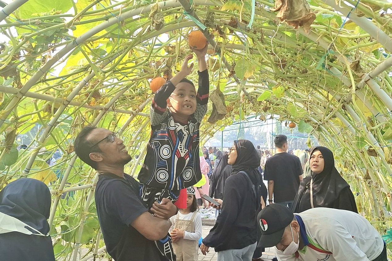 Serunya Panen Sayur dan Petik Buah Segar di Petro Agrifood Expo