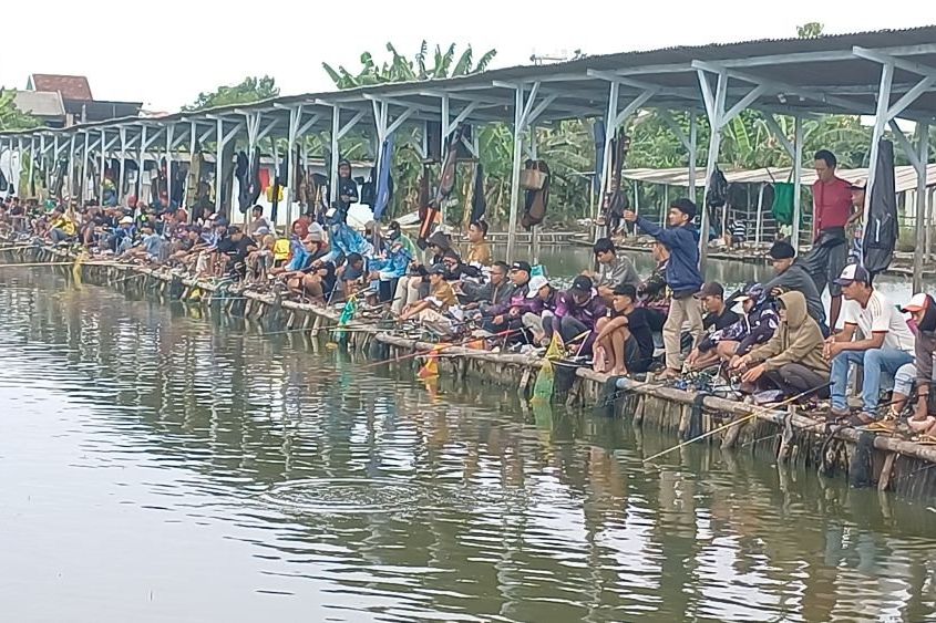 Serunya Lomba Memancing dalam Perayaan Ultah ke-2 Komunitas Mbah Gaul Fishing