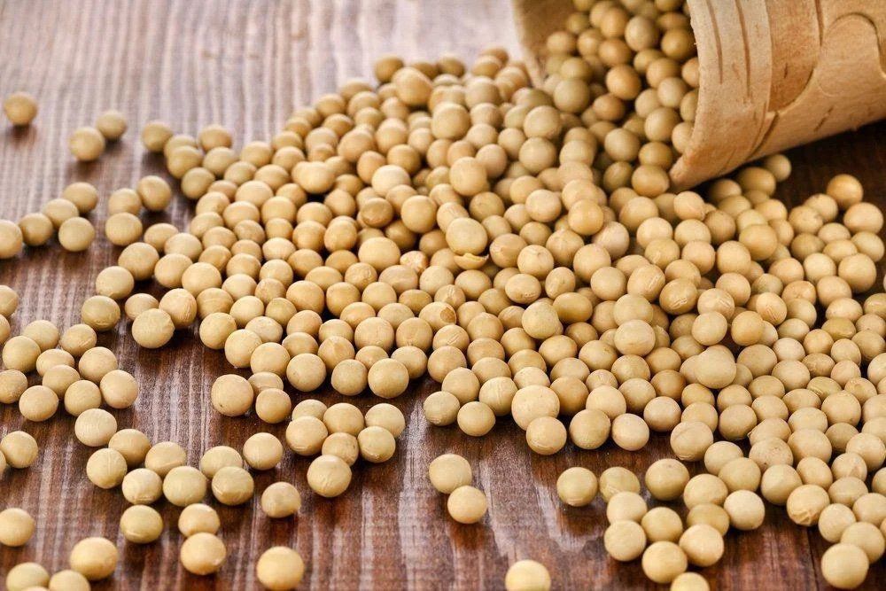Stok Kedelai di Jatim Defisit 39 Ribu Ton