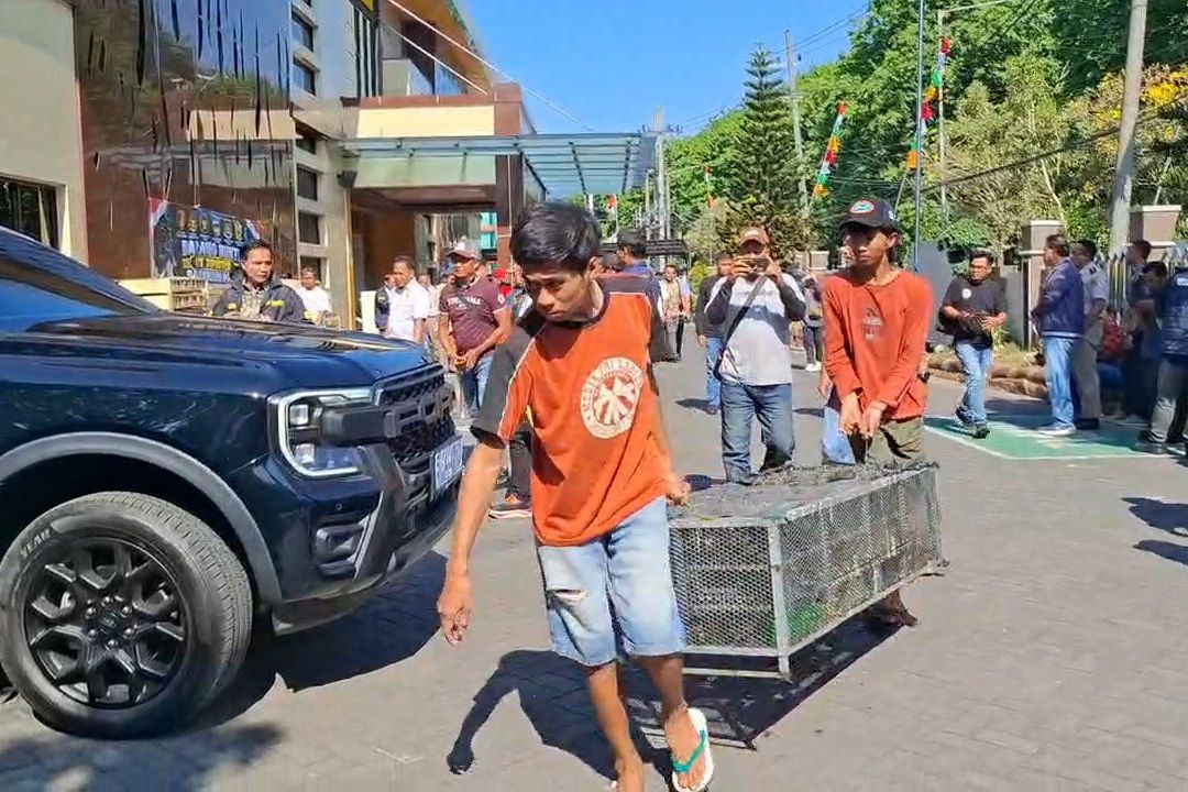 Dua WNA Vietnam Jadi Tersangka Penyelundupan Ribuan Burung ke Indonesia