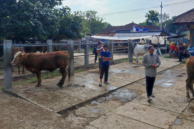 Untuk Mengendalikan PMK, Pasar Hewan di Ponorogo Ditutup