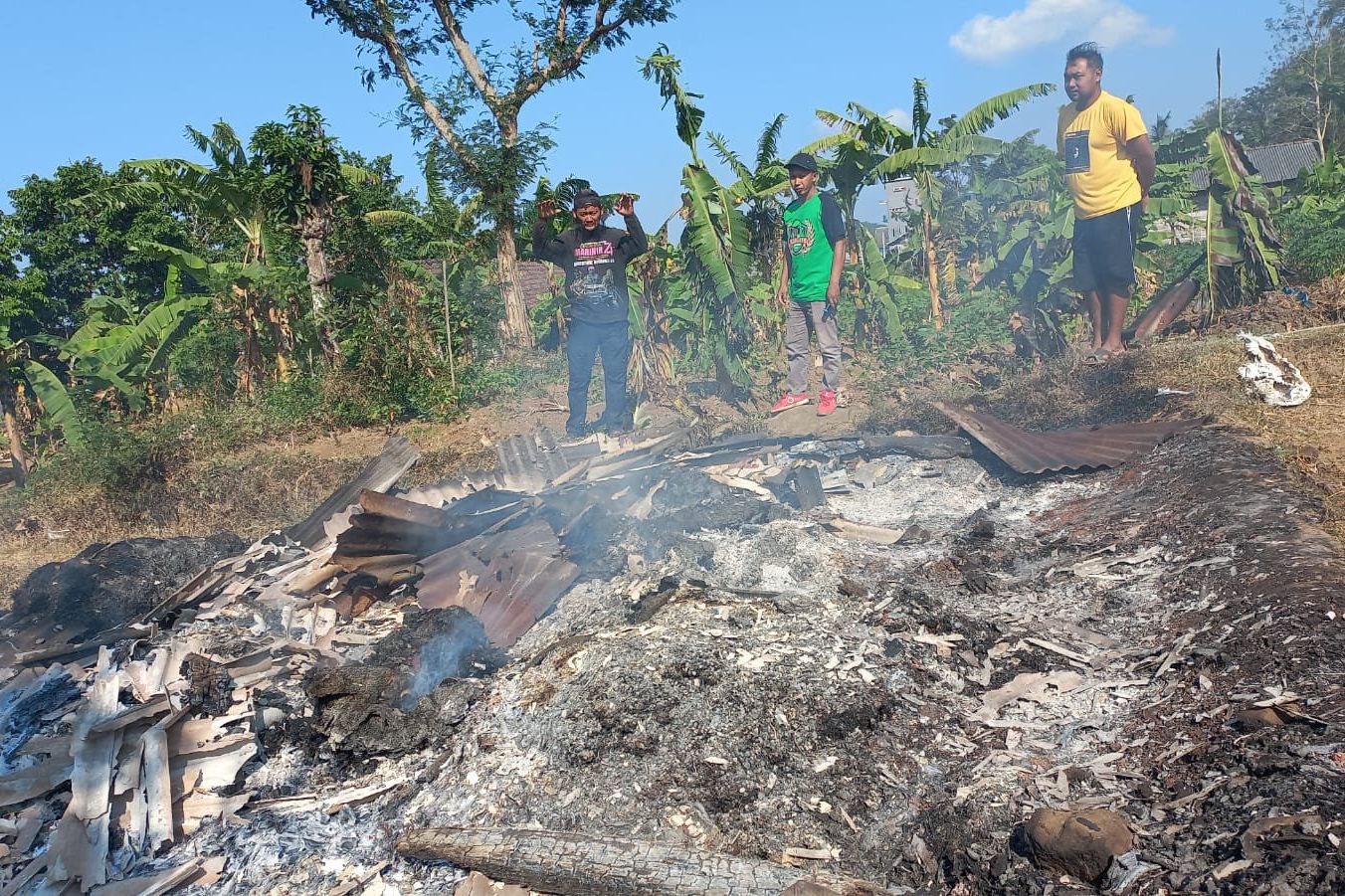 Kandang Terbakar, 9 Ekor Kambing Hangus Terpanggang di Trawas