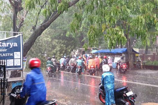Pohon Trembesi Tumbang, Akses Jalan Masuk ke Kota Mojokerto Ditutup
