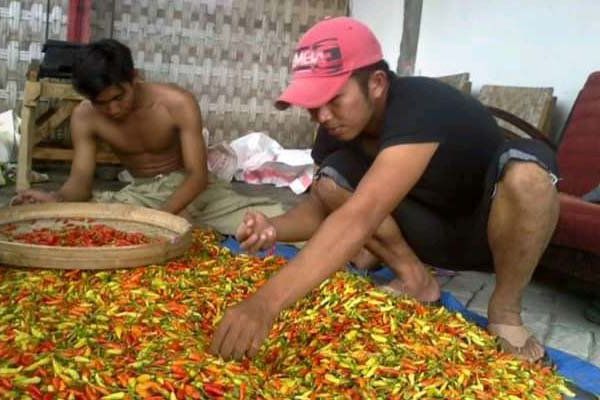 Cabai Rawit dan Kenaikan Tarif Tol Sumbang Inflasi Januari 2021