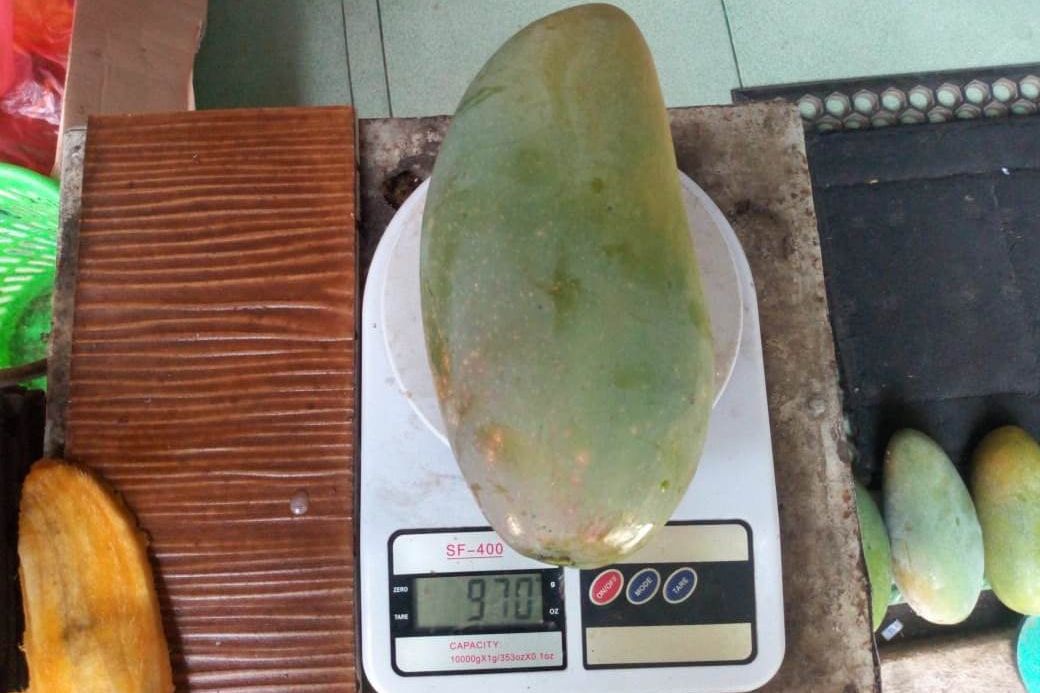 Mangga Sumbang Deflasi Bulan Ini