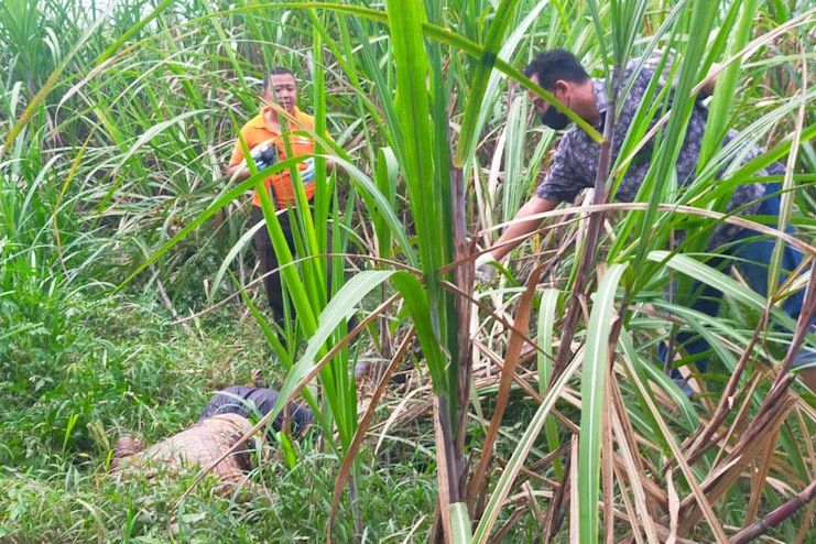 Dilaporkan Menghilang, Kakek di Mojokerto Ditemukan Meninggal di Kebun Tebu