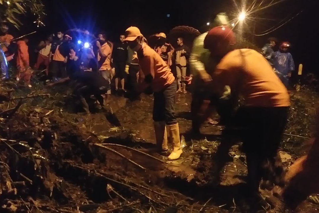 Curah Hujan Tinggi disertai Angin Kencang, Sebabkan Pohon Tumbang dan Longsor di Mojokerto