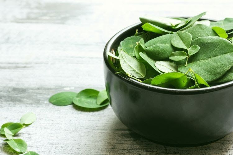 Tingkatkan Daya Tahan Tubuh dengan Ramuan Daun Kelor