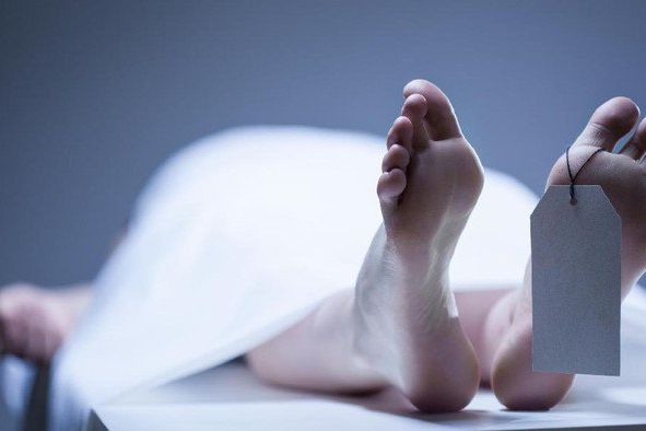 Petani di Gresik Ditemukan Meninggal Diduga Tersengat Aliran Listrik Jebakan Tikus Miliknya