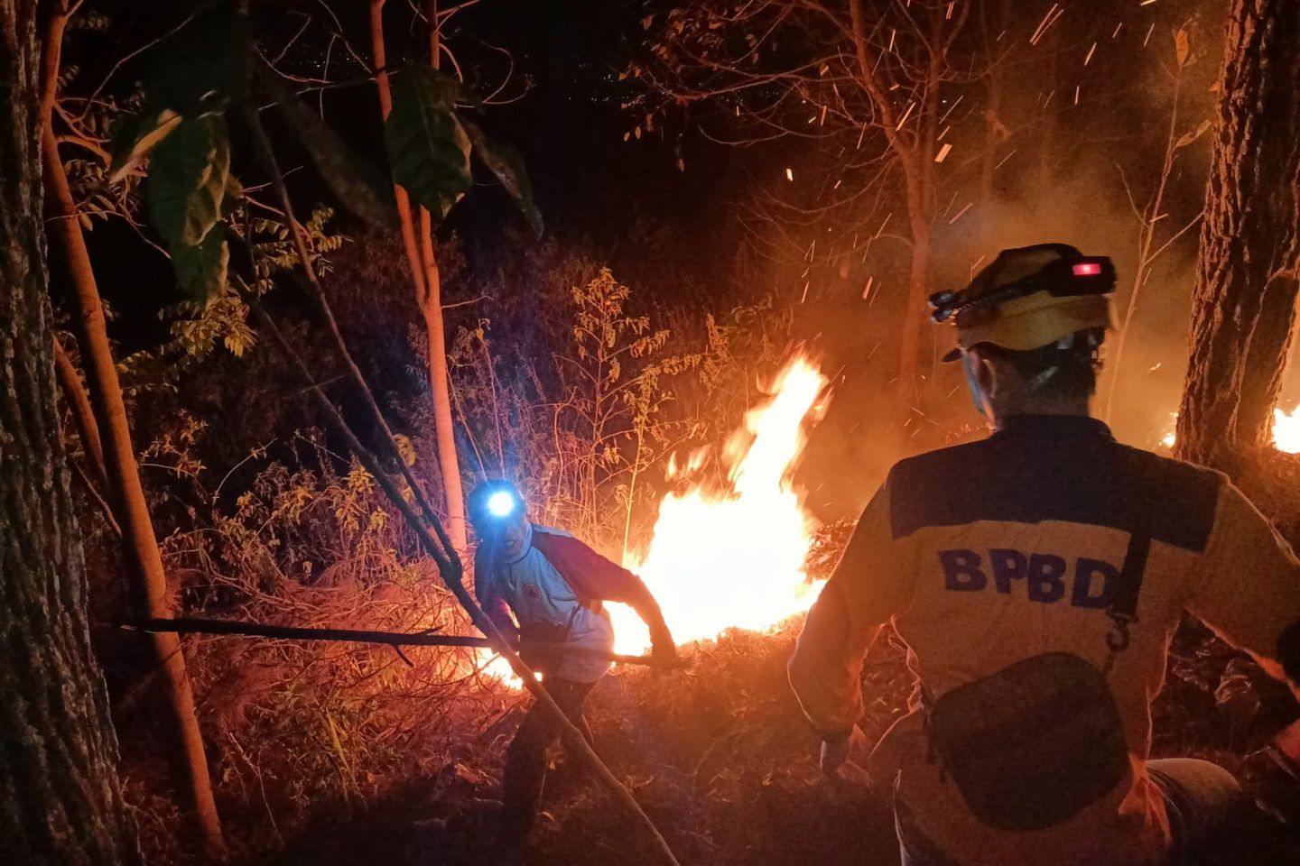 Bukit Trenggilis Kota Batu Terbakar