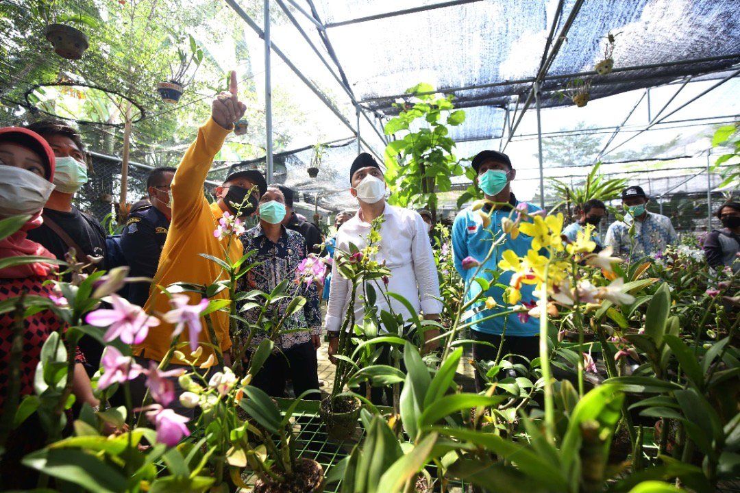 Penataan Kawasan Kebun Anggrek ekslokalisasi Sememi Akan Diubah