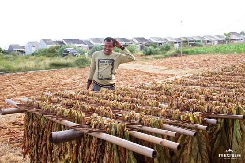 Tujuh Kelompok Tani Tembakau Dibantu Alat Jemur Tembakau