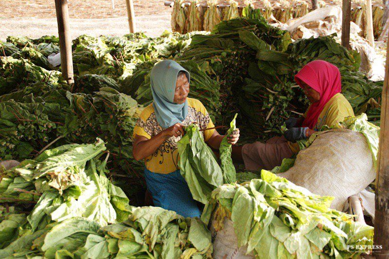 Dinsos Pemkab Situbondo Alokasikan BLT DBHCHT Rp. 4, 5 Miliar