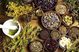 Pergub Obat Tradisional Dinilai Masih Kurang Efektif