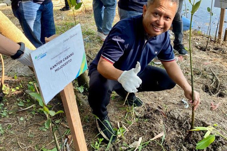 BPJS Ketenagakerjaan Mojokerto Ikut Sukseskan Semarak HUT RI ke-77 dengan Menanam Bibit Mangrove