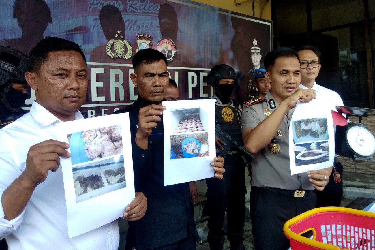 Hati-hati! 200 Kilogram Bangkai Ayam Hendak Dijual di Malang