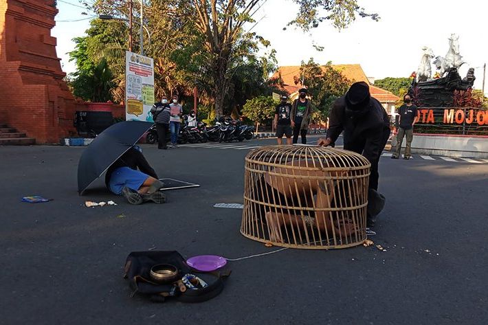 Tolak Perpanjang PPKM, Komunitas Project Anget Gelar Aksi Teatrikal "Kandang Ayam" di Mojokerto