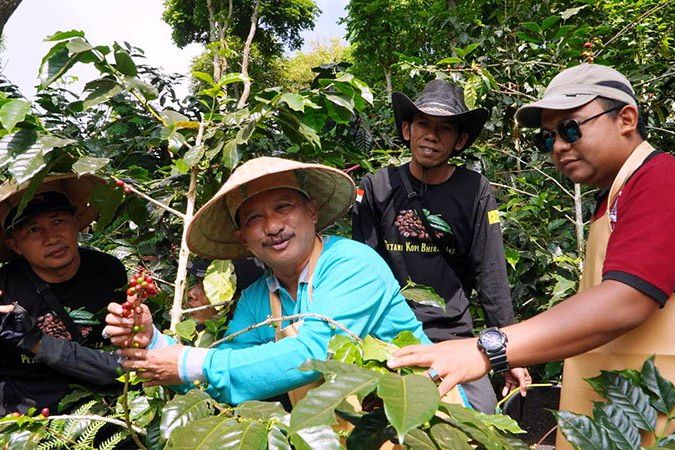 Bupati Situbondo Karna Suwandi Mengaku Puas Hasil Panin Kopi Lereng Gunung Argopuro