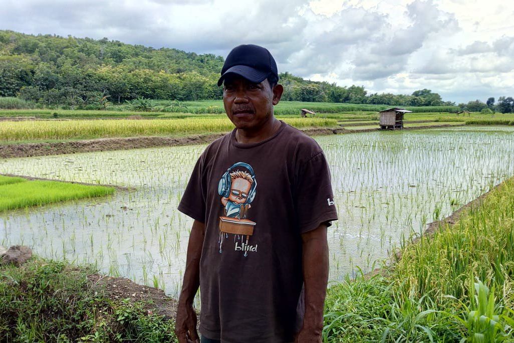 Produksi Padi Merosot Dampak Irigasi Tercemar Limbah Pasir