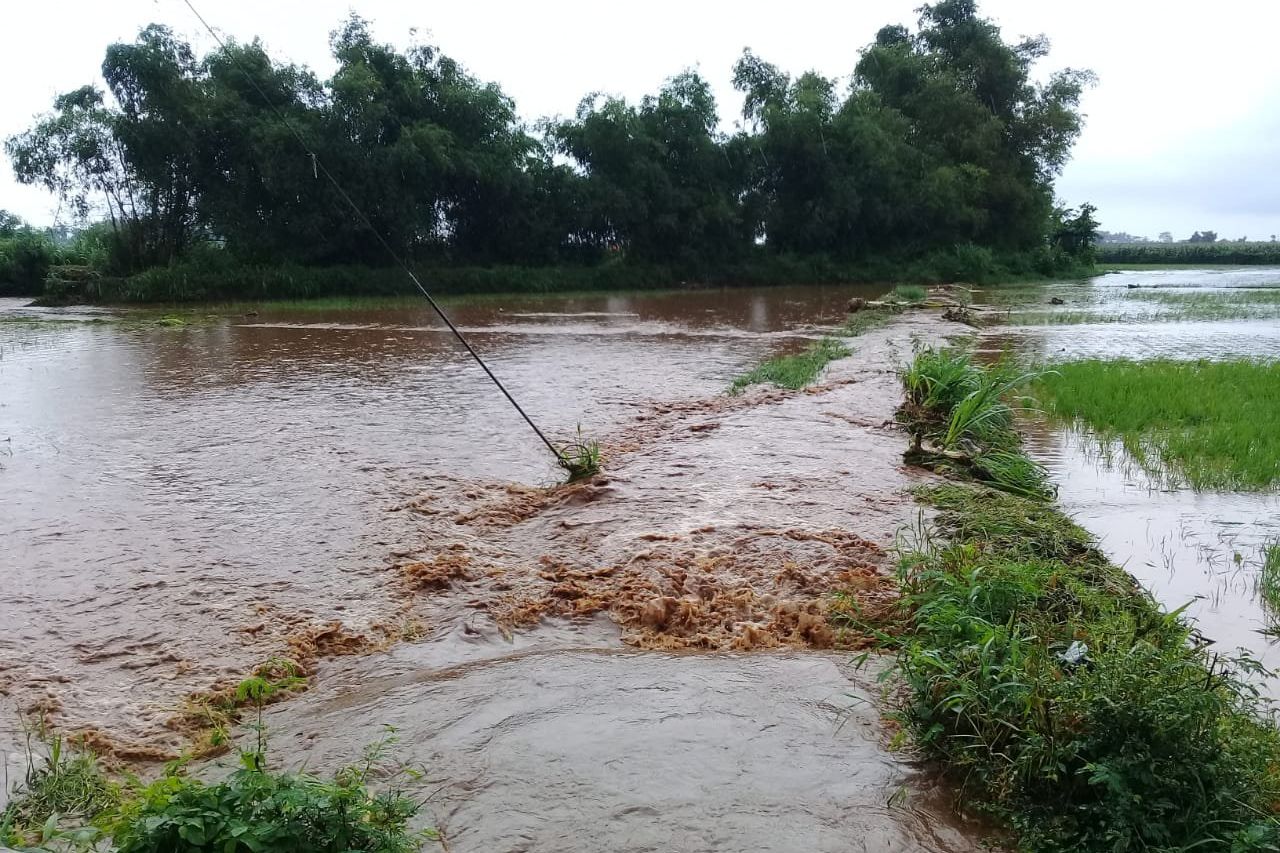 Banjir Banyuwangi Terjang Sawah dan Kandang Ayam
