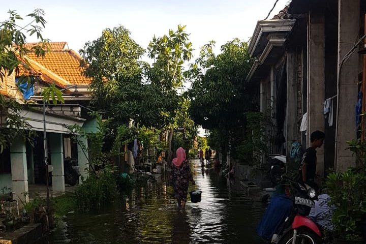 Empat Desa di Kalitengah Lamongan Terendam Banjir Akibat Curah Hujan Tinggi