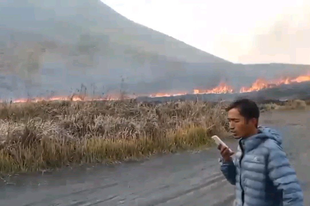 Kebakaran Kembali Muncul di Bromo, Api Merambat ke Arah Bukit Teletubies