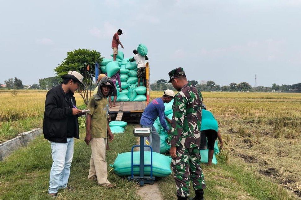 Bulog Jatim Sumbang 25 Persen Serapan Gabah Nasional