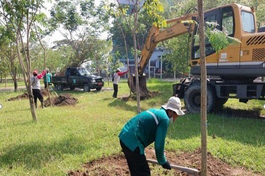 Cegah Dampak dari <em>Global Warming</em>, Surabaya Ditanami 1000 Pohon