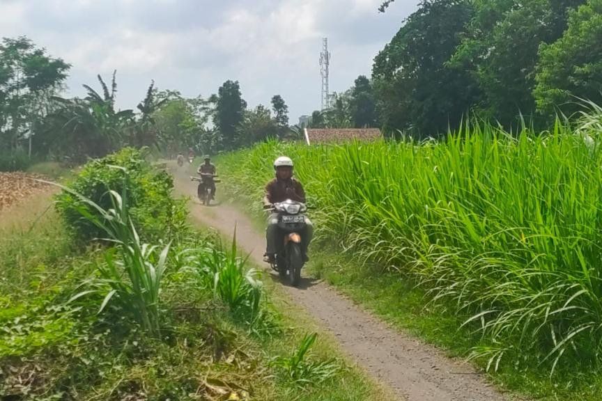 Demi Hindari Operasi Yustisi Prokes, Lintasi Jalur Tikus Persawahan