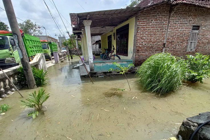 Baru Tanam, Puluhan Hektare Sawah di Mojokerto Terendam Banjir Luapan Sungai Lamong