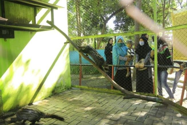 Peringati Hari Lingkungan Hidup Sedunia, TWSL Probolinggo Gelar “Larpa”