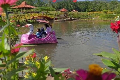 Wisatawan Membeludak, Bermi Ecopark Probolinggo Ditutup